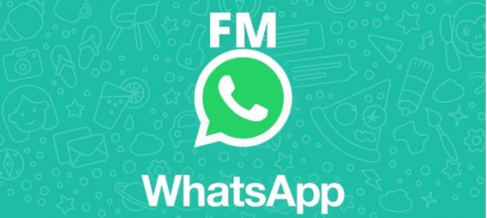 FM WhatsApp for Android