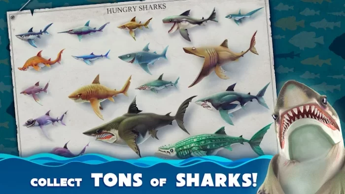 Play as an extravagant and hungry shark, players will join giant fish and conquer the ocean in a new adventure. It's very exciting, unexpected but also challenging. Like Hungry Fish, sharks can eat everything it sees, even eat boats, and people, or fly up to swallow gulls. The game features 3D graphics, adventure sound, a diverse shark collection, and fun mission series.